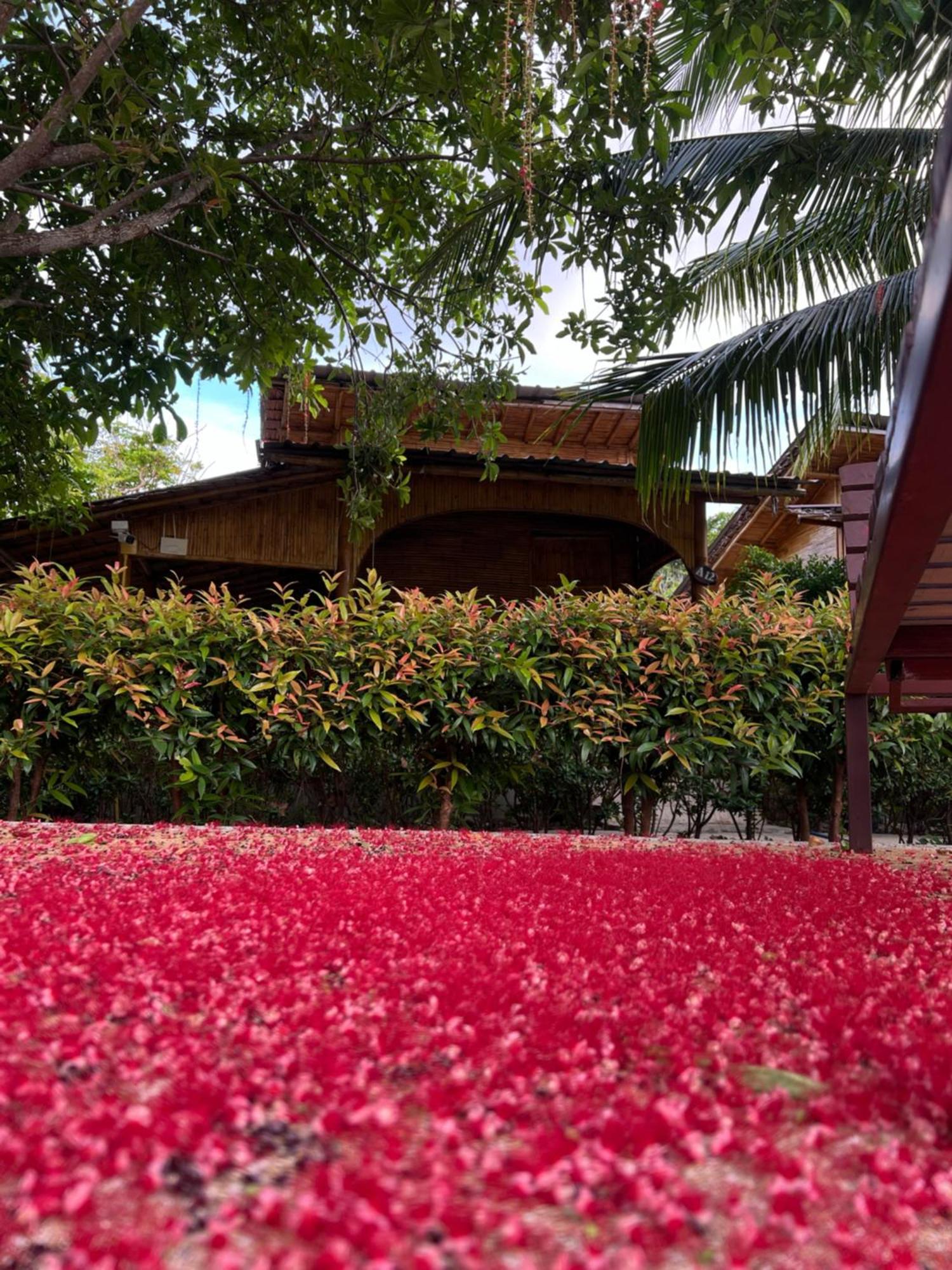 Chom Dao Resort Ko Lanta Eksteriør bilde